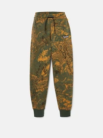 Брюки Timberland Spring Rock модель TB0A66Y9DK3 Фото