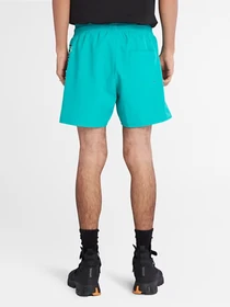 Одежда для пляжа Timberland Logo Swimshort модель TB0A26M6E34 Фото