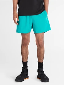 Одежда для пляжа Timberland Logo Swimshort модель TB0A26M6E34 Фото