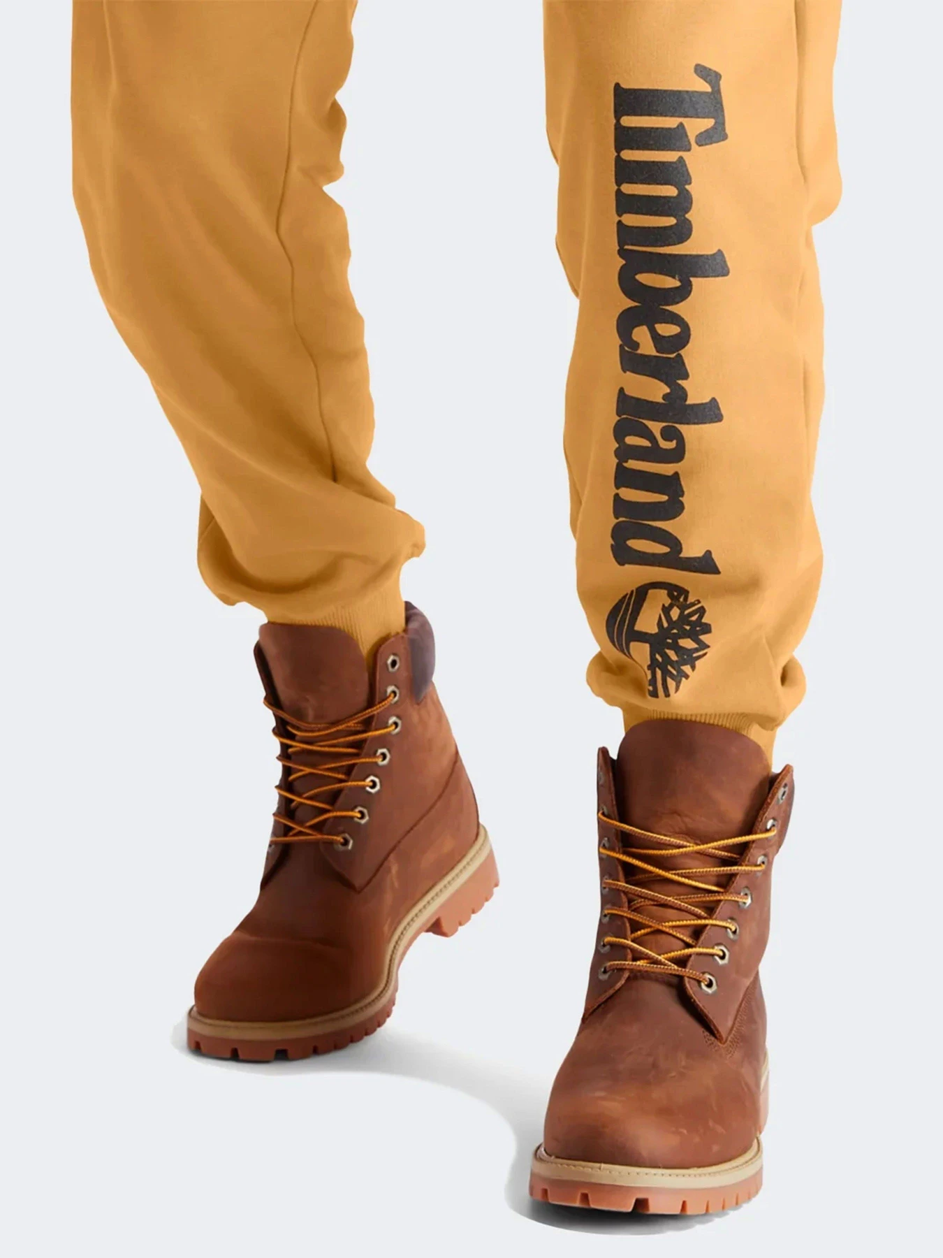 Брюки Timberland Core Tree Logo модель TB0A2BVFP57 Брюки Timberland Core Tree Logo модель TB0A2BVFP57 Фото