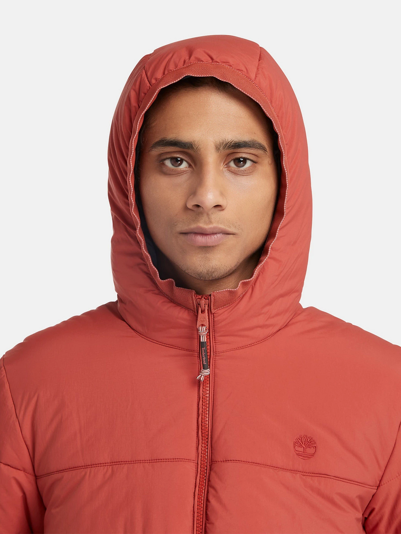 Куртки и дубленки Timberland Garfield Thermarange™ Puffer модель TB0A6G39DV5 Фото