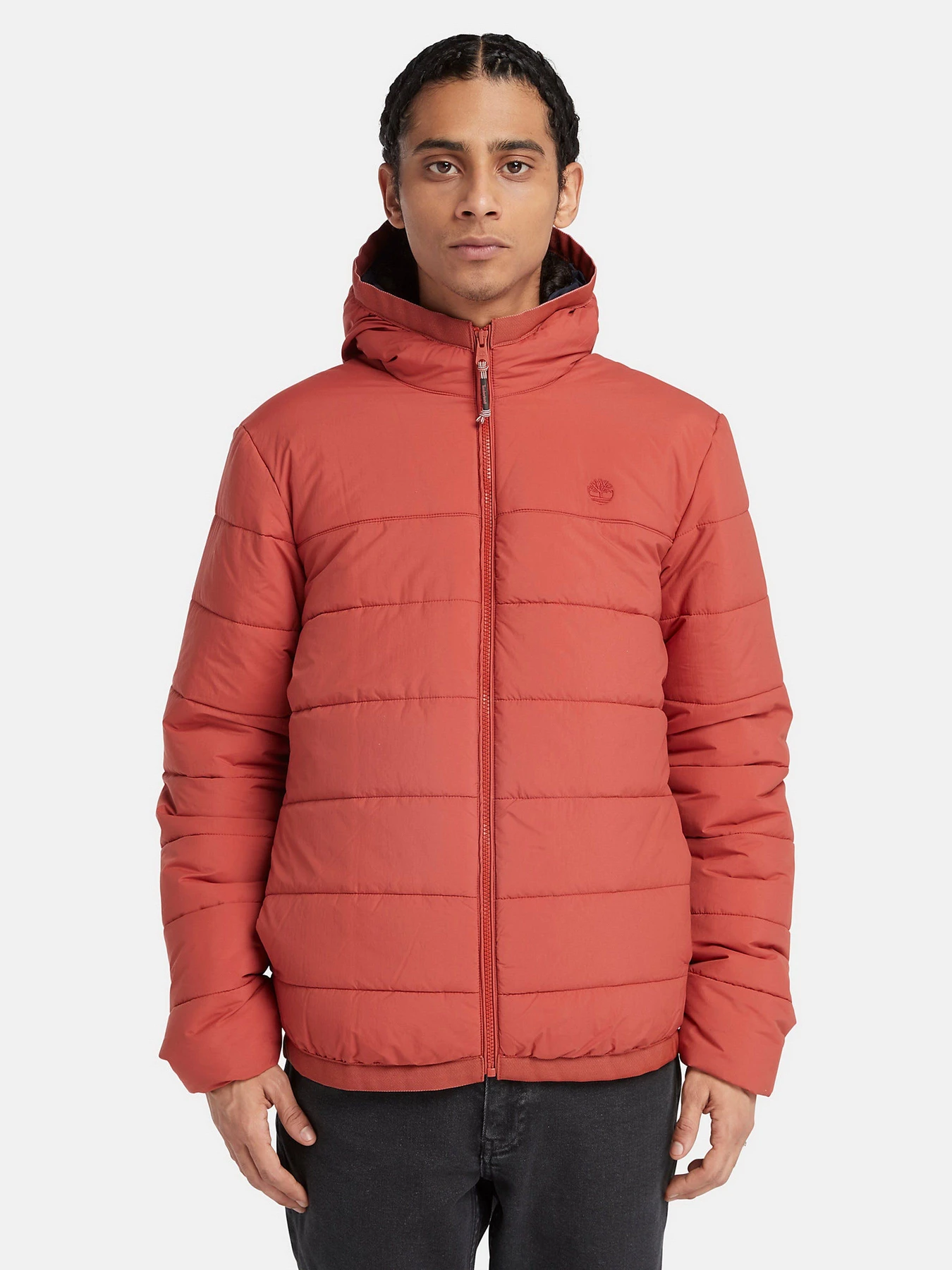Куртки и дубленки Timberland Garfield Thermarange™ Puffer модель TB0A6G39DV5 Фото