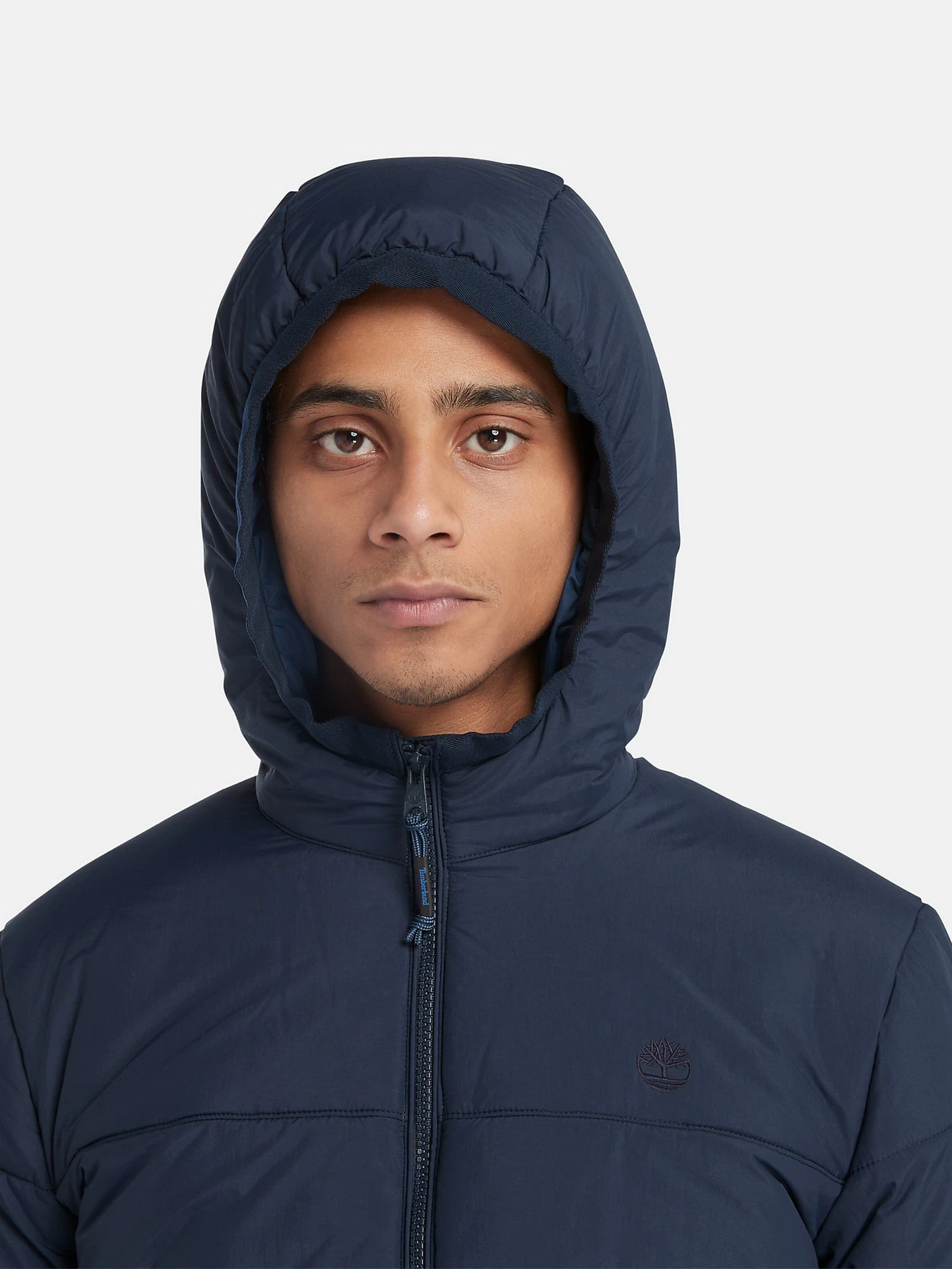 Куртки та дублянки Timberland Garfield Thermarange™ Puffer модель TB0A6G39433 Фото