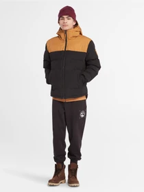 Куртки и дубленки Timberland DWR Welch Mountain Puffer модель TB0A6U7SP57 Фото