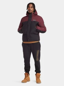 Куртки и дубленки Timberland Outdoor Archive модель TB0A6S41DX6 Фото