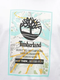 Худі та світшоти Timberland LS Ski School Printed Stack Logo Tee модель TB0A6JK9100 Фото