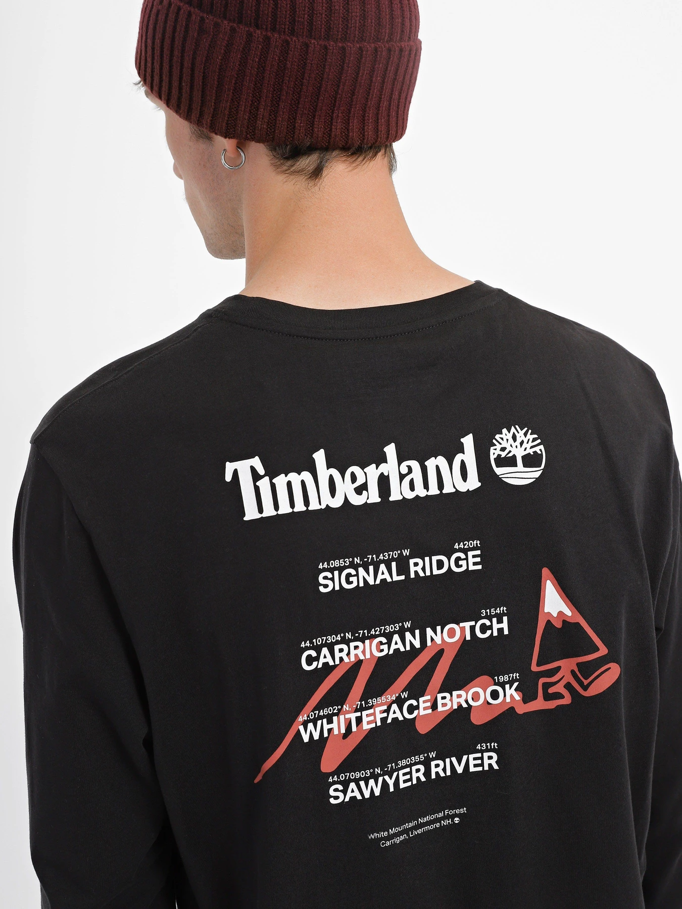 Худі та світшоти Timberland Signal Ridge Back Graphic модель TB0A6JN5001 Худі та світшоти Timberland Signal Ridge Back Graphic модель TB0A6JN5001 Фото