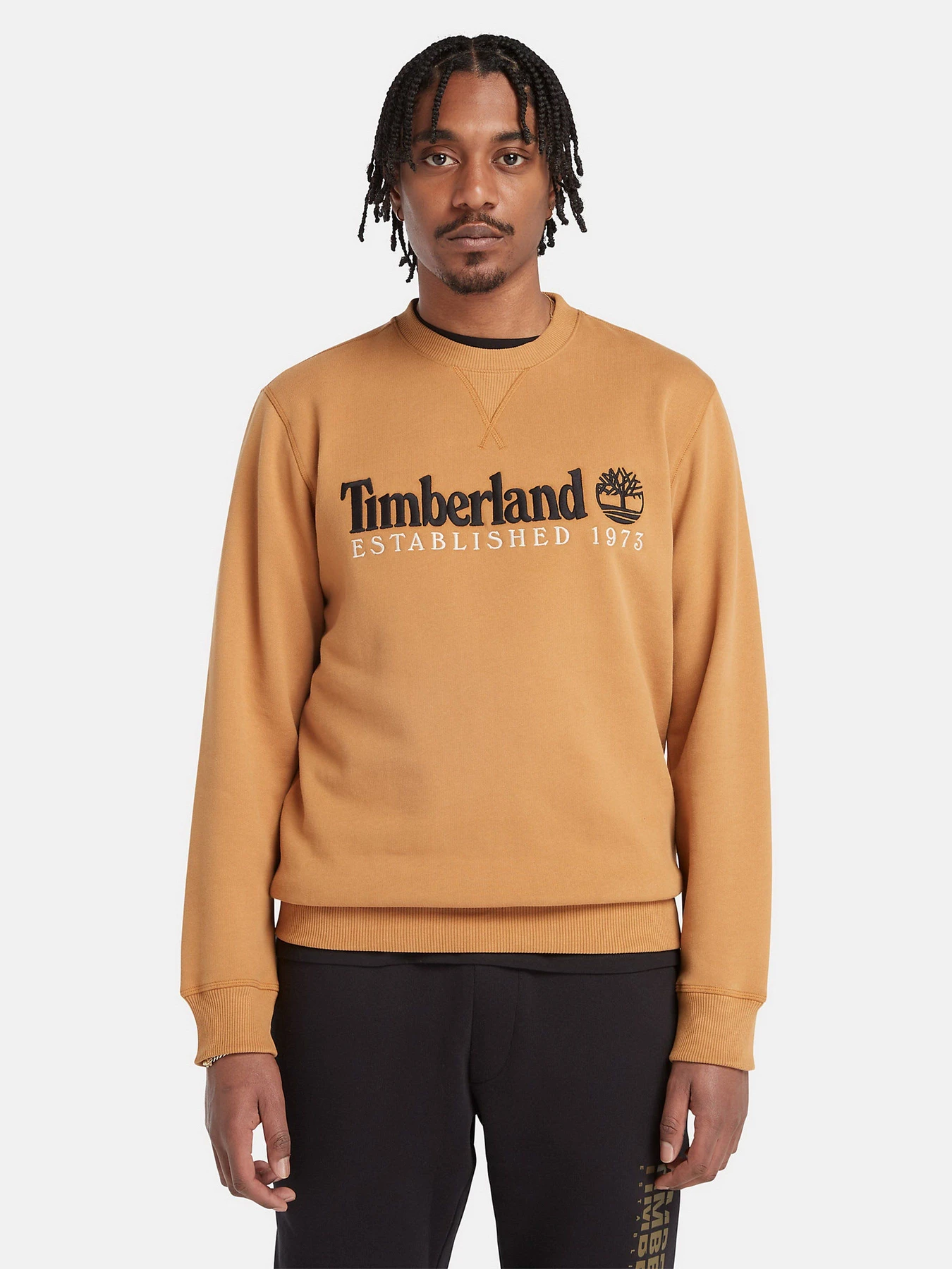 Худи и свитшоты Timberland Est. 1973 Logo Crew модель TB0A65DDP47 Худи и свитшоты Timberland Est. 1973 Logo Crew модель TB0A65DDP47 Фото