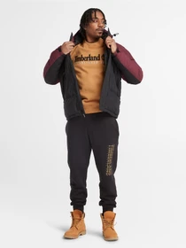 Худи и свитшоты Timberland Est. 1973 Logo Crew модель TB0A65DDP47 Фото
