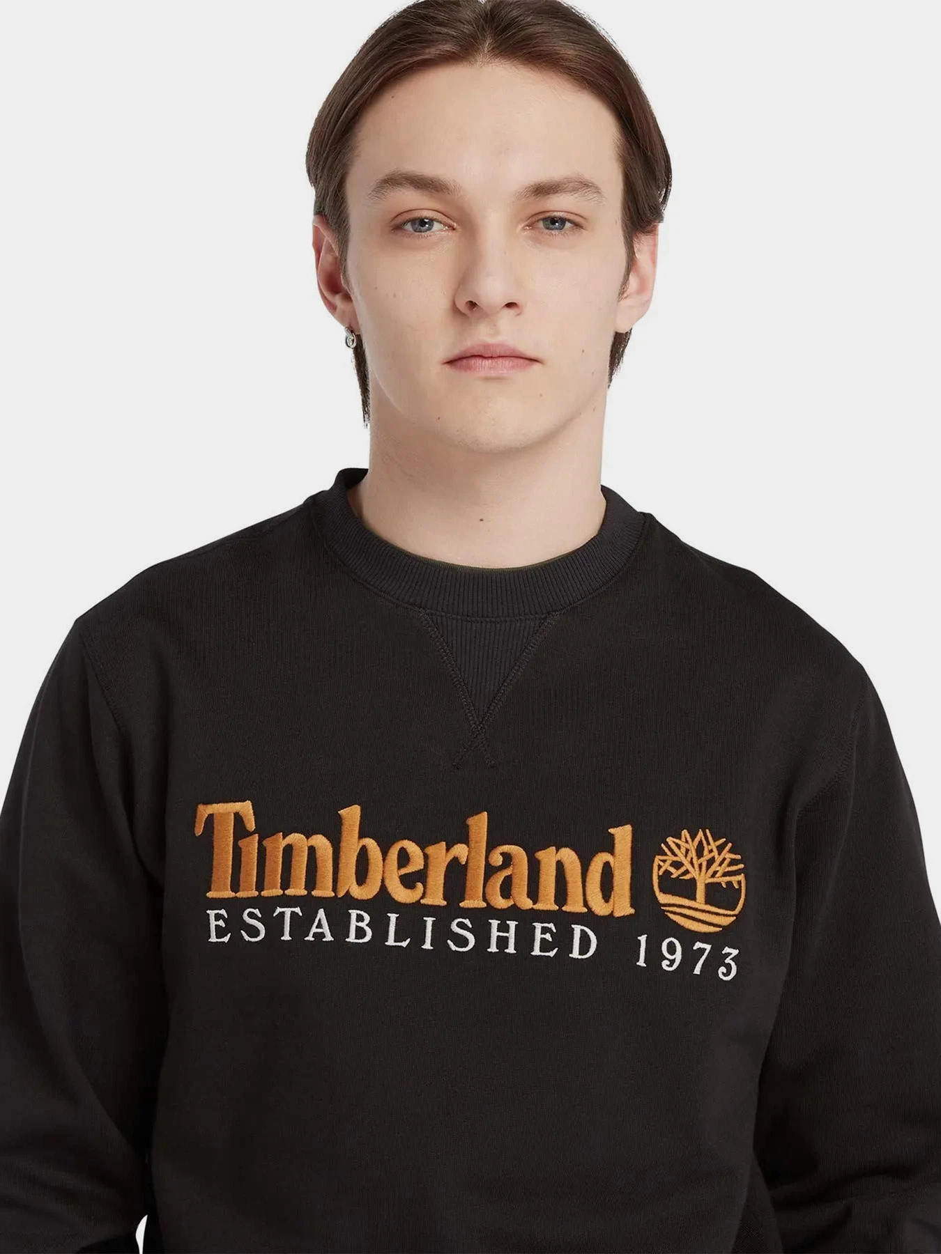 Худи и свитшоты Timberland Est. 1973 Logo Crew модель TB0A65DD001 Худи и свитшоты Timberland Est. 1973 Logo Crew модель TB0A65DD001 Фото