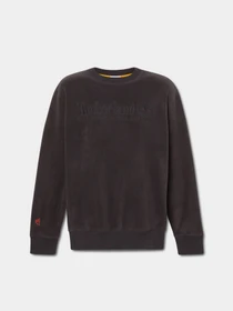 Худі та світшоти Timberland Linear Logo модель TB0A6NQ9001 Фото