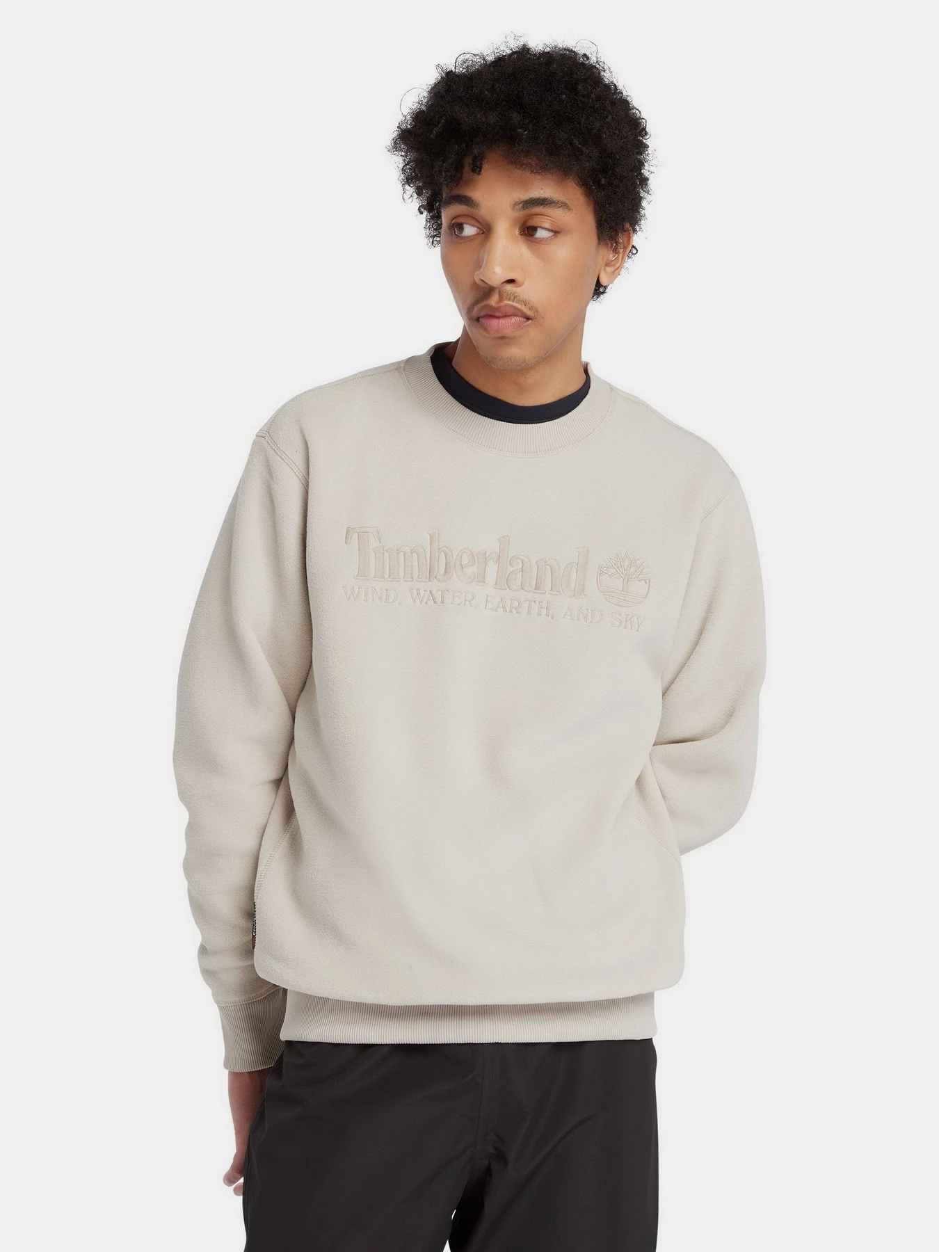 Худі та світшоти Timberland Linear Logo модель TB0A6NQ9CY2 Худі та світшоти Timberland Linear Logo модель TB0A6NQ9CY2 Фото