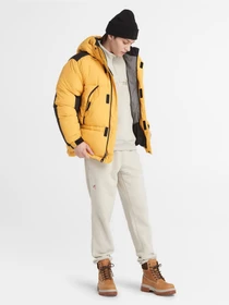 Худі та світшоти Timberland Linear Logo модель TB0A6NQWCY2 Фото