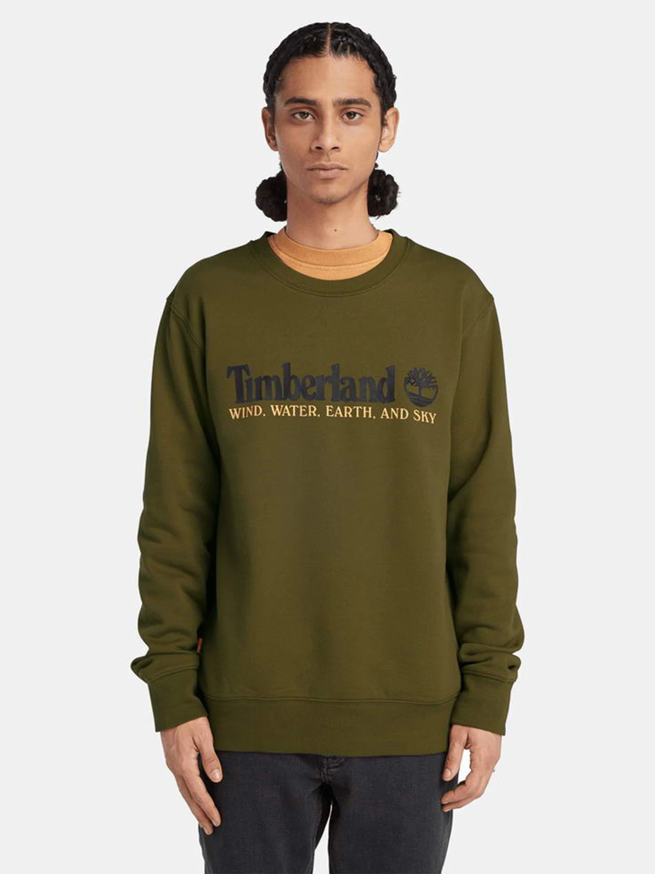 Худи и свитшоты Timberland Wind, Water, Earth, and Sky™ модель TB0A27HC302 Фото