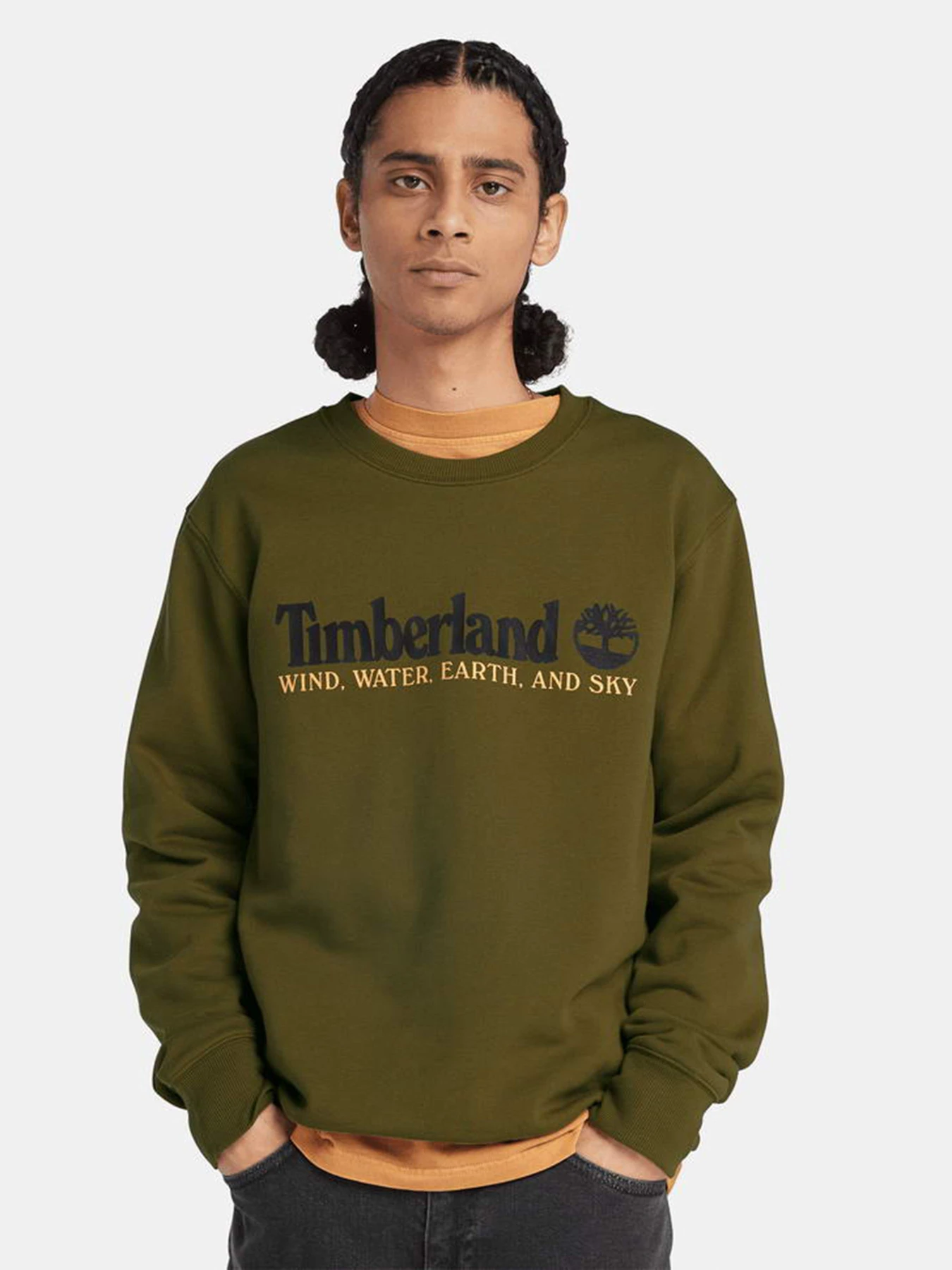 Худи и свитшоты Timberland Wind, Water, Earth, and Sky™ модель TB0A27HC302 Фото