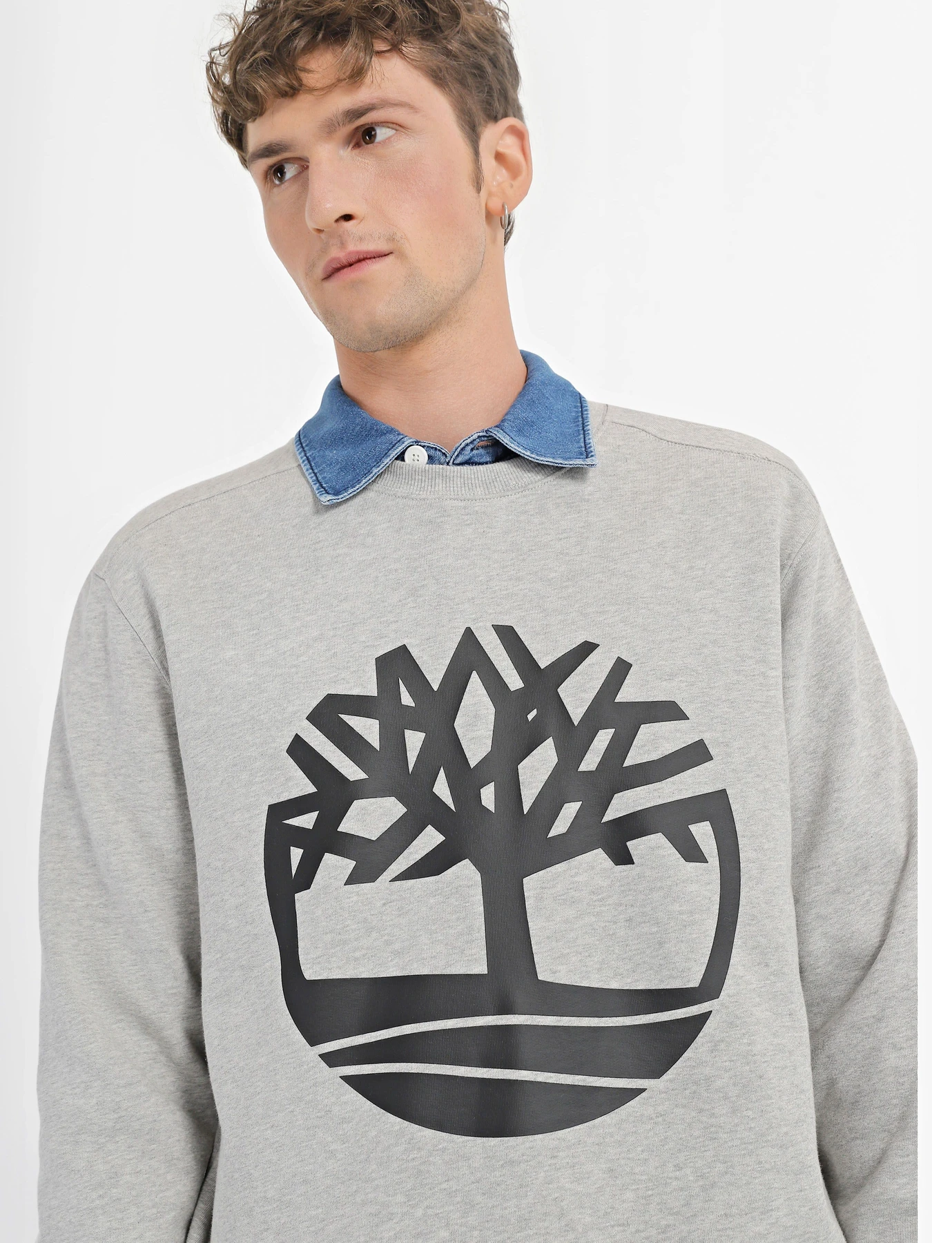 Худи и свитшоты Timberland Tree Logo Crew Neck модель TB0A2BJ8052 Худи и свитшоты Timberland Tree Logo Crew Neck модель TB0A2BJ8052 Фото