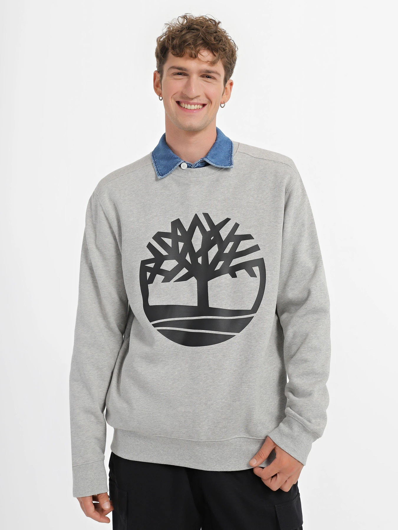 Худи и свитшоты Timberland Tree Logo Crew Neck модель TB0A2BJ8052 Худи и свитшоты Timberland Tree Logo Crew Neck модель TB0A2BJ8052 Фото
