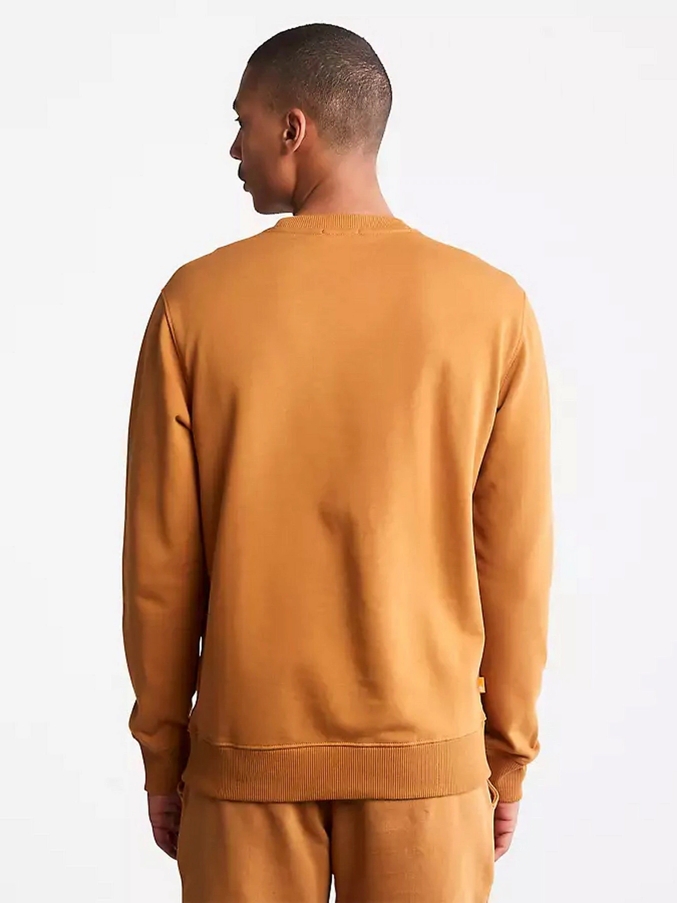 Худі та світшоти Timberland Tree Logo Crew Neck модель TB0A2BJ8P57 Худі та світшоти Timberland Tree Logo Crew Neck модель TB0A2BJ8P57 Фото