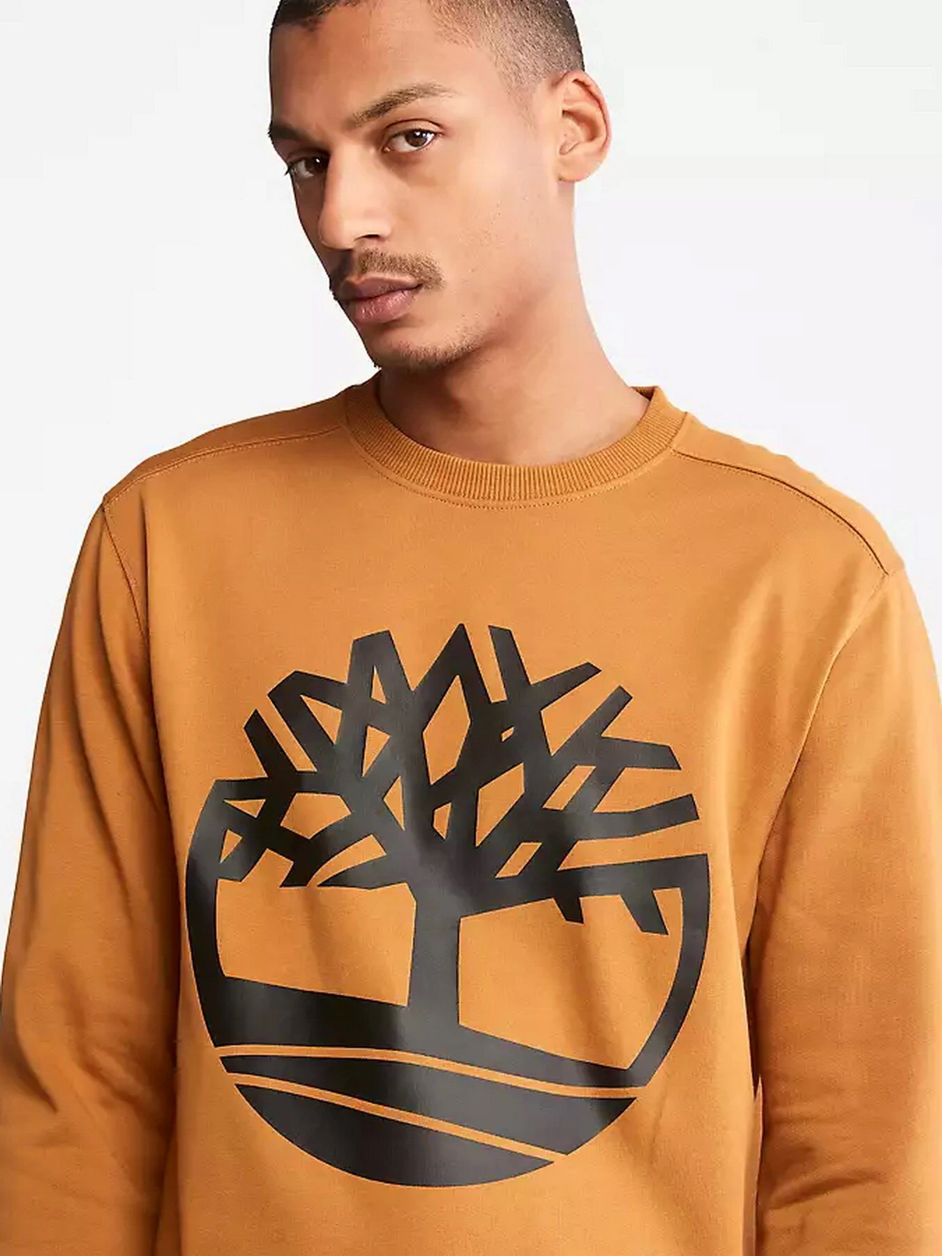 Худі та світшоти Timberland Tree Logo Crew Neck модель TB0A2BJ8P57 Худі та світшоти Timberland Tree Logo Crew Neck модель TB0A2BJ8P57 Фото