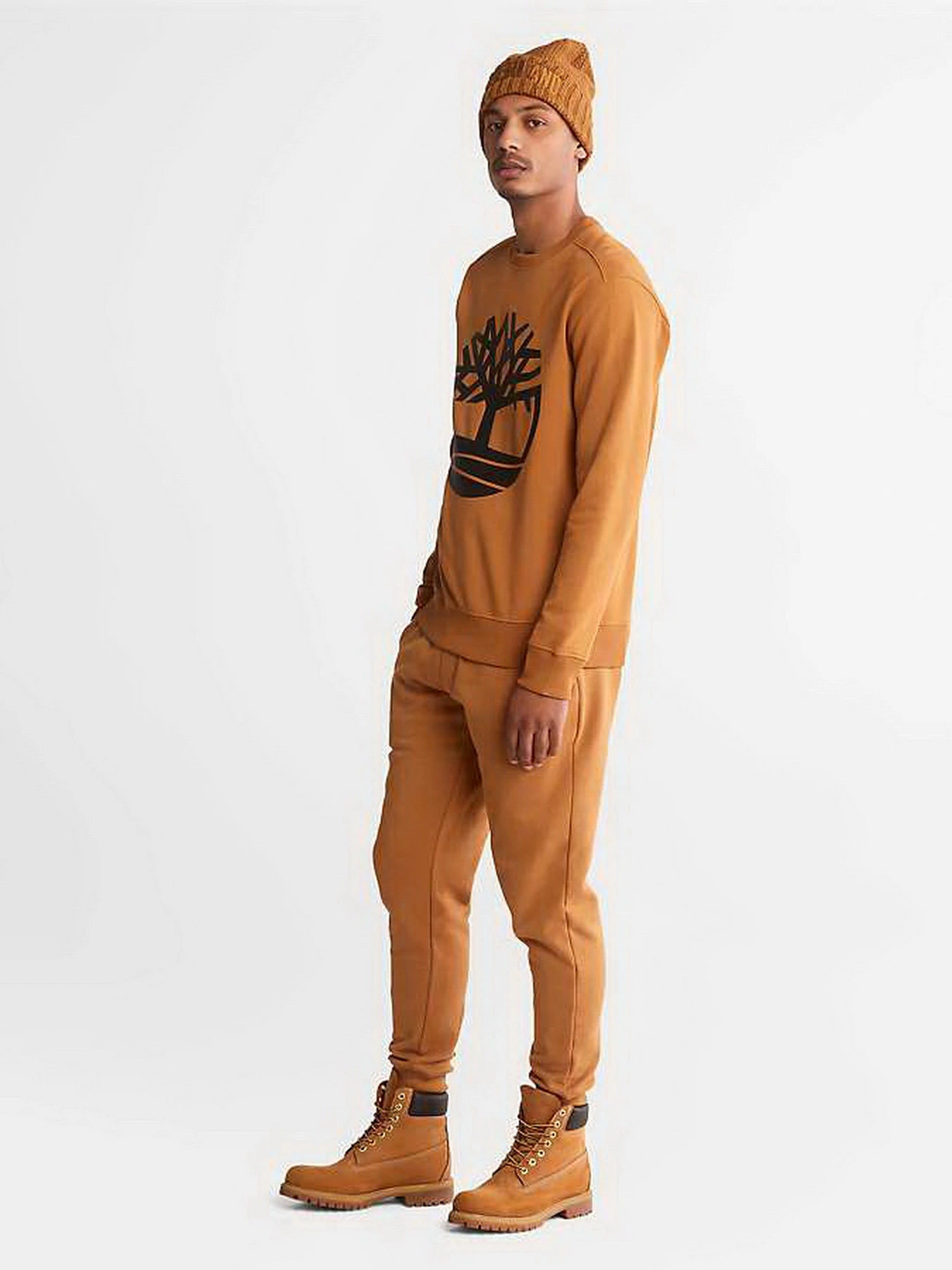 Худі та світшоти Timberland Tree Logo Crew Neck модель TB0A2BJ8P57 Худі та світшоти Timberland Tree Logo Crew Neck модель TB0A2BJ8P57 Фото