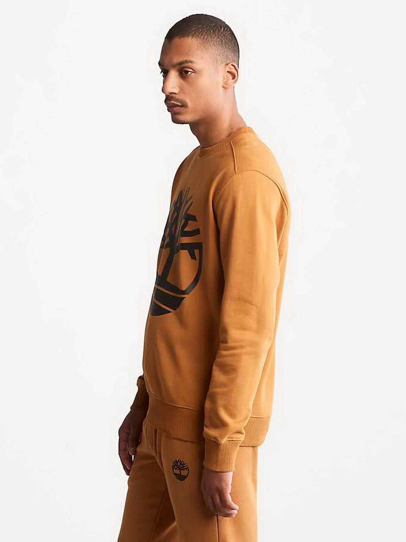Худі та світшоти Timberland Tree Logo Crew Neck модель TB0A2BJ8P57 Худі та світшоти Timberland Tree Logo Crew Neck модель TB0A2BJ8P57 Фото