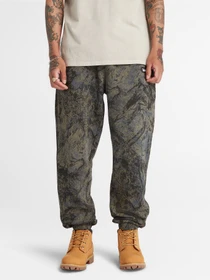 Брюки Timberland All Over Printed модель TB0A6JBSDX0 Фото