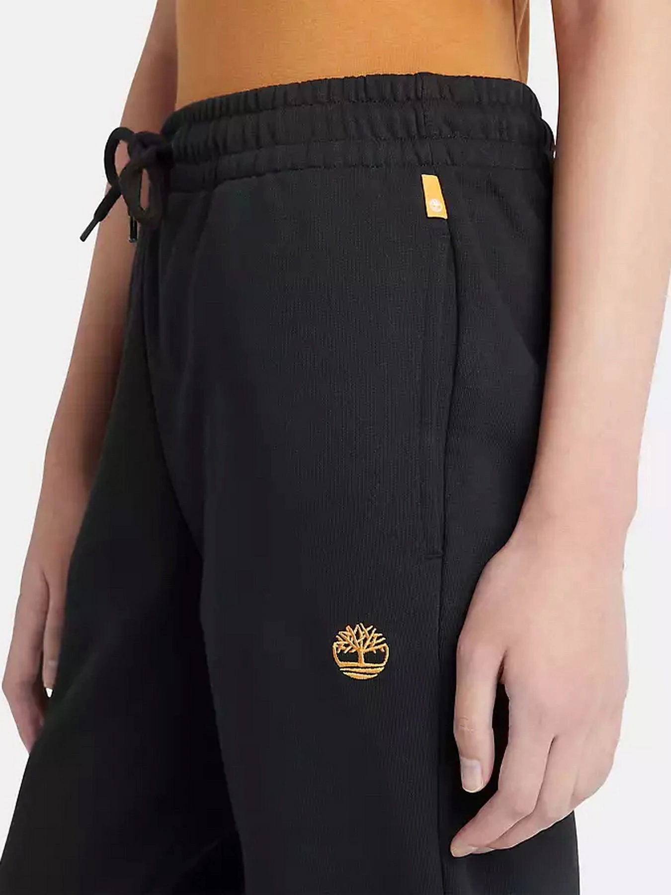 Брюки Timberland Embroidered Tree-logo модель TB0A6H5NP56 Фото
