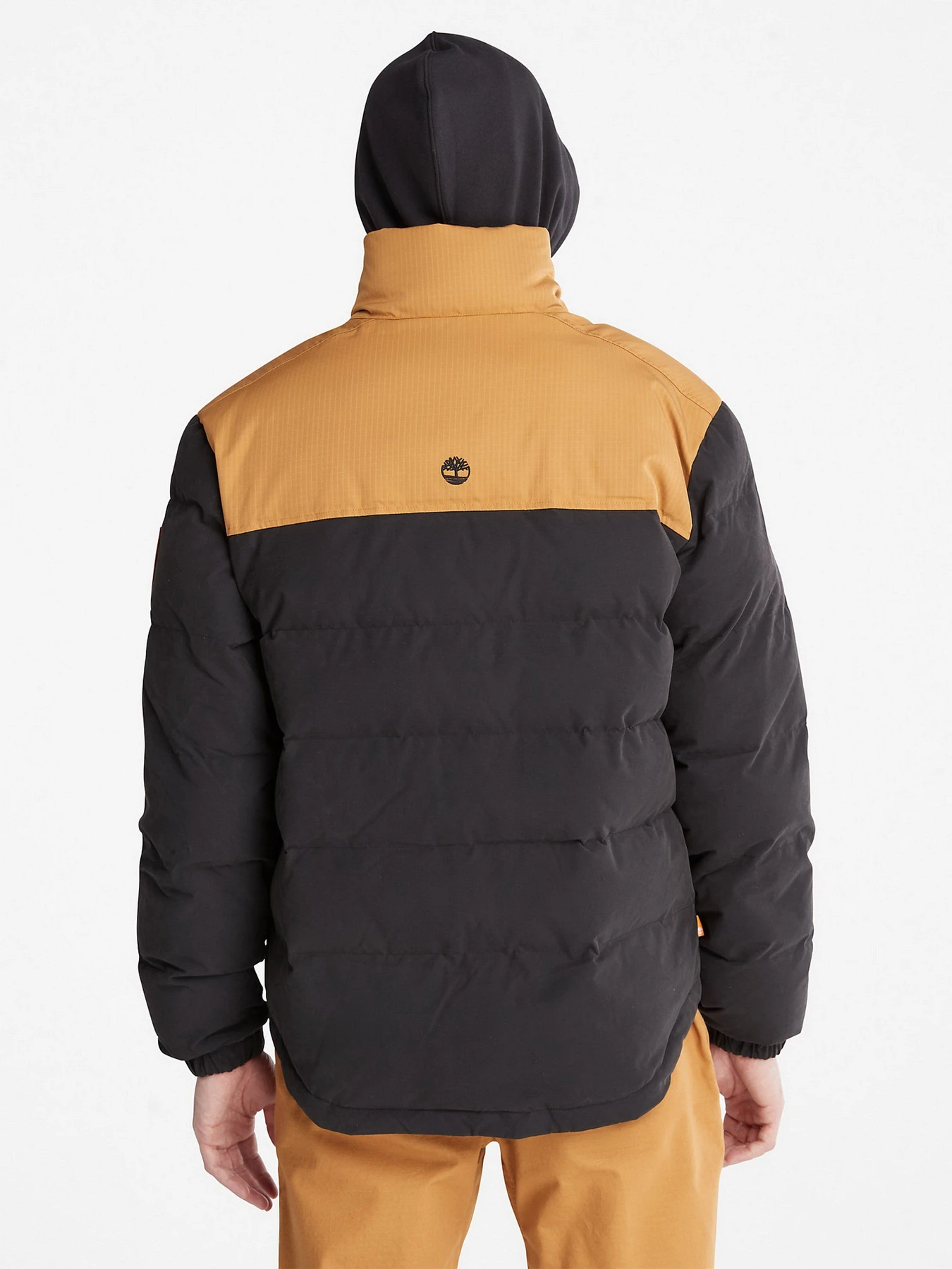 Куртки та дублянки Timberland Scar Ridge модель TB0A22XBP57 Фото