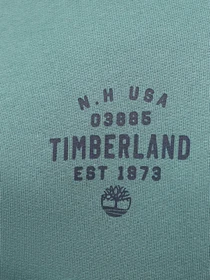Худи и свитшоты Timberland Front Graphic модель TB0A5U8YCL6 Фото