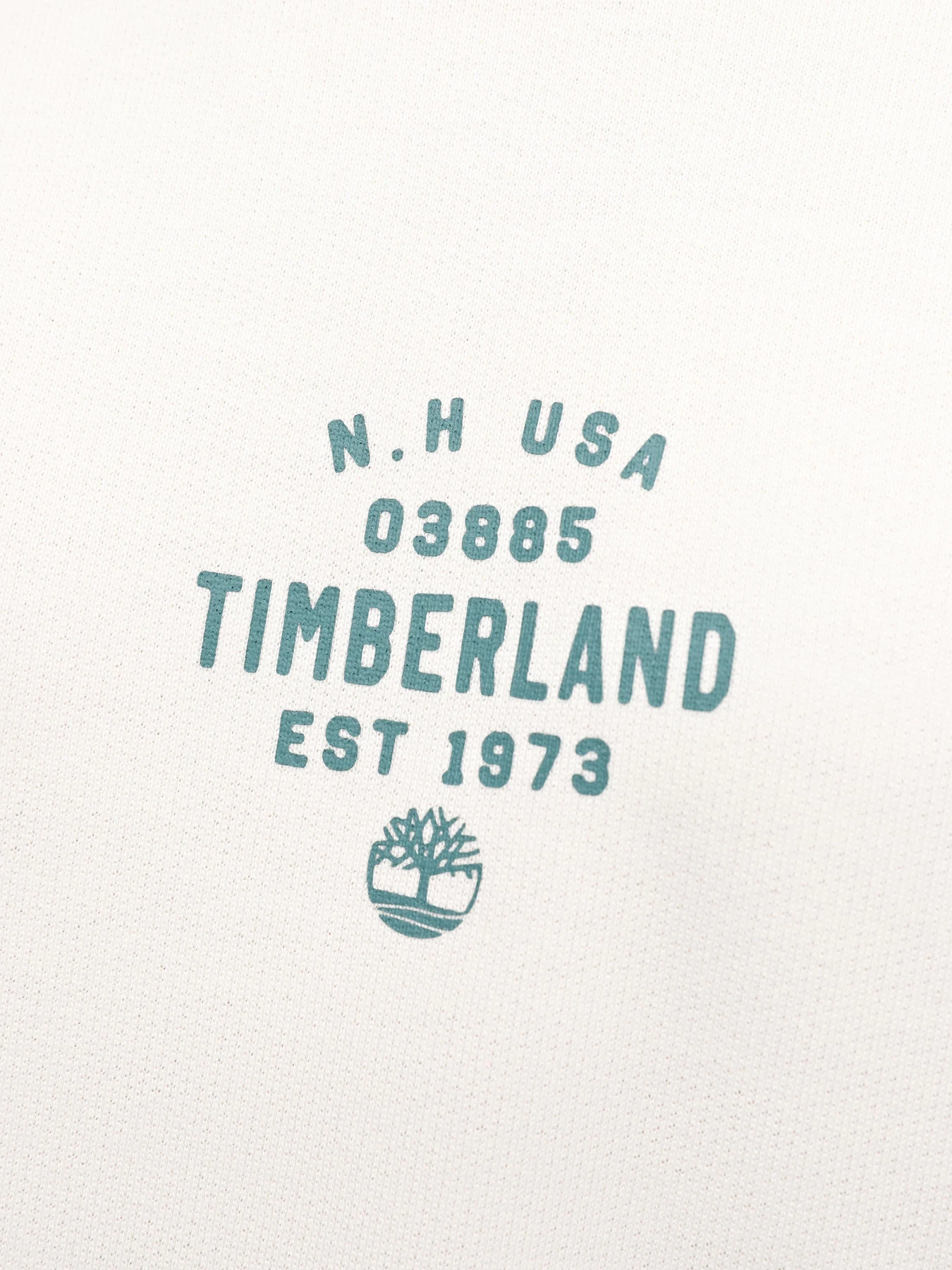 Худі та світшоти Timberland Front Graphic модель TB0A5U8YCM9 Фото