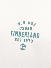 Худі та світшоти Timberland Front Graphic модель TB0A5U8YCM9 Фото