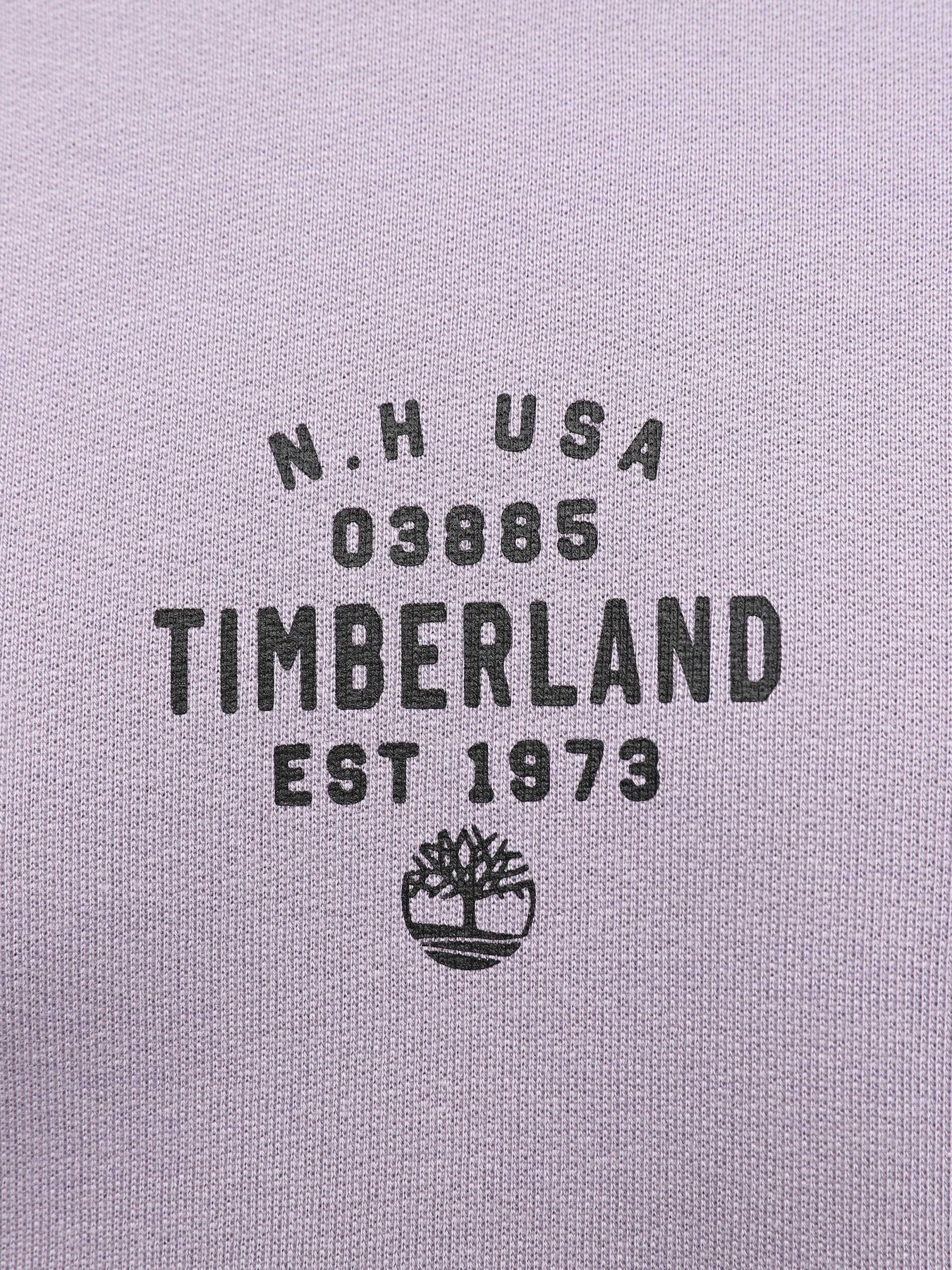 Худі та світшоти Timberland Front Graphic модель TB0A5U8YEG7 Худі та світшоти Timberland Front Graphic модель TB0A5U8YEG7 Фото