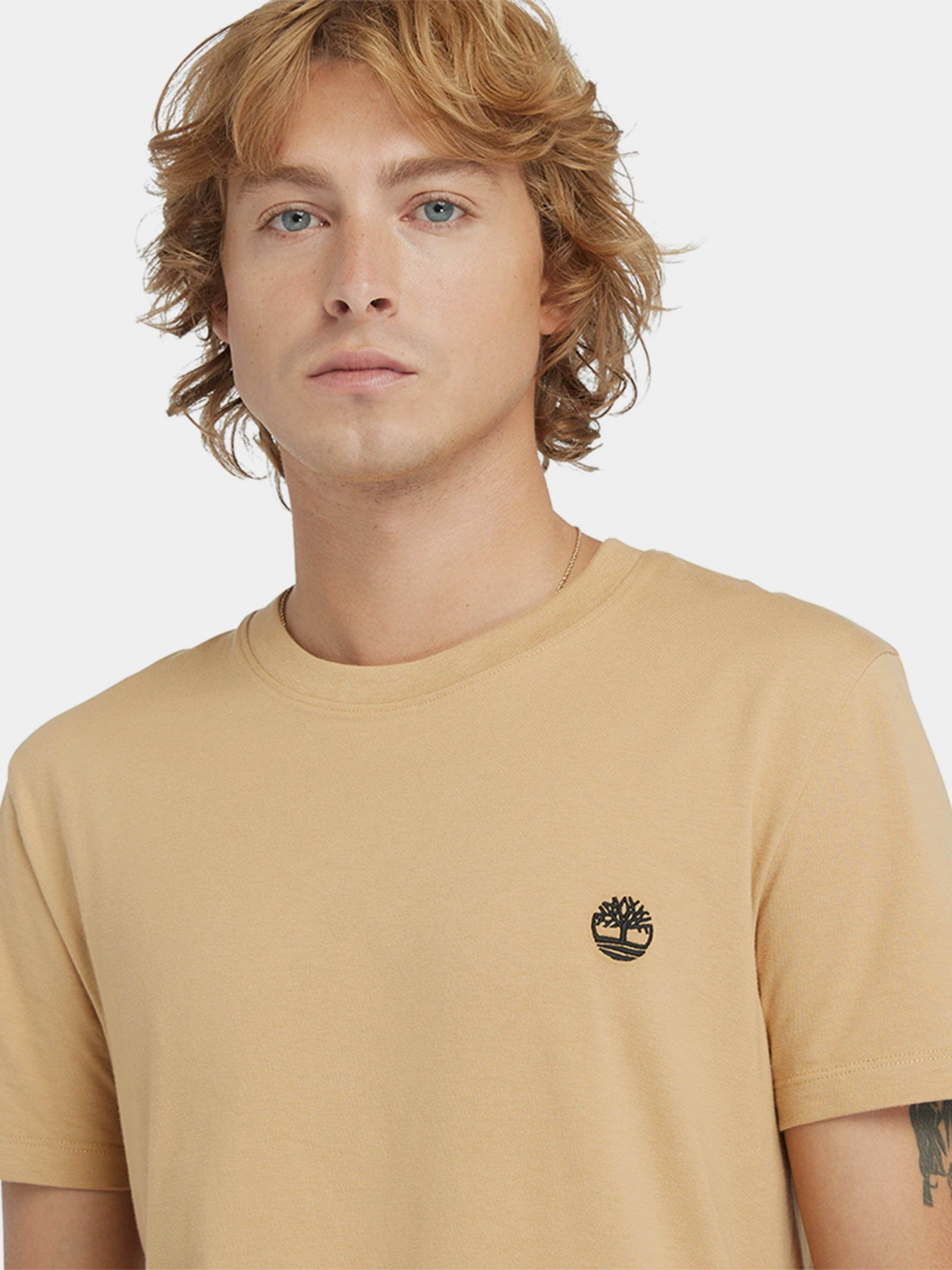 Футболки и поло Timberland Dunstan River модель TB0A2BPREH3 Футболки и поло Timberland Dunstan River модель TB0A2BPREH3 Фото