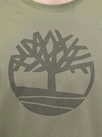 Футболки и поло Timberland Kennebec River Tree Logo модель TB0A2C2RAP6 Фото