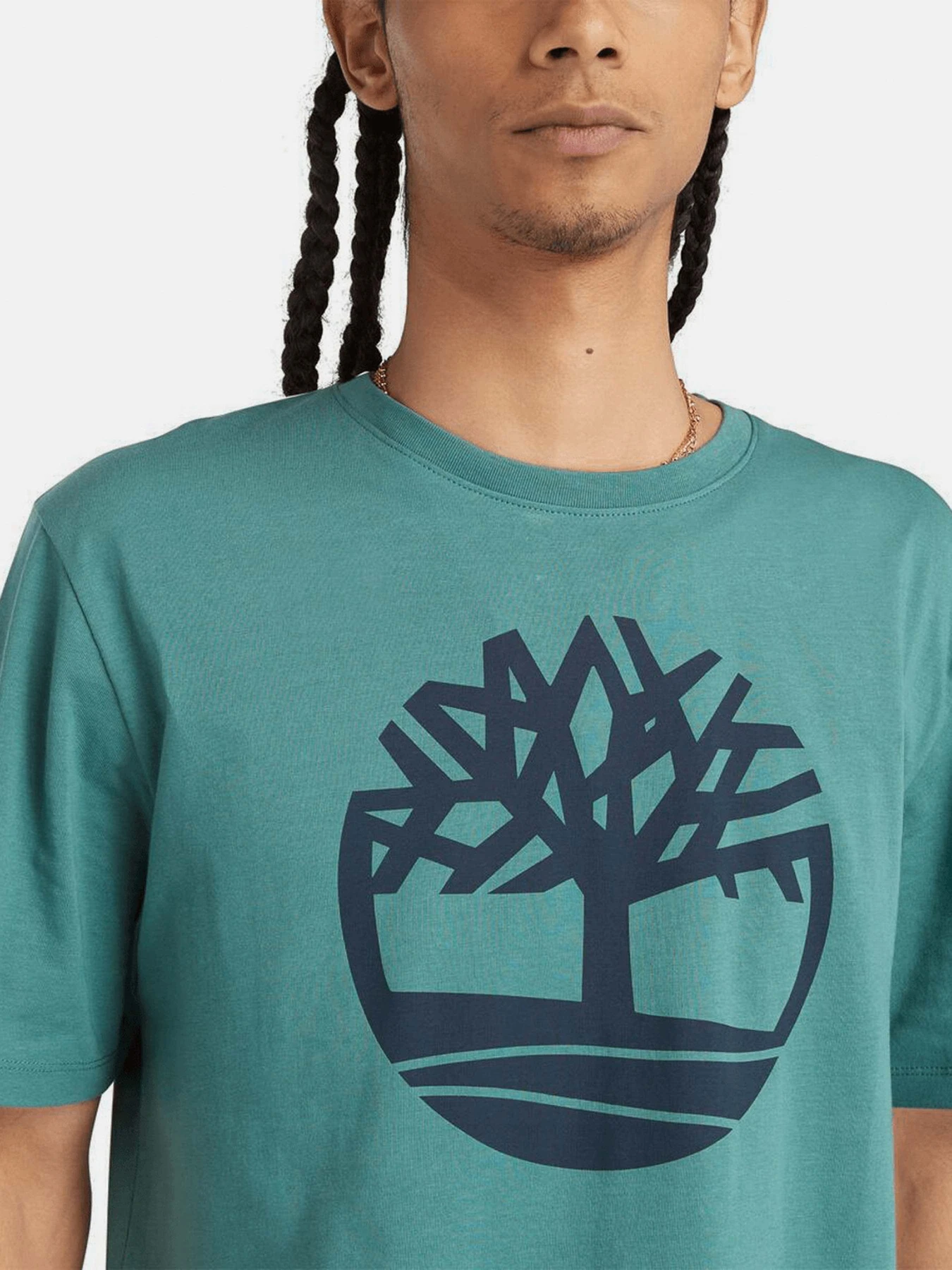 Футболки і поло Timberland Tree Logo модель TB0A2C2RCL6 Футболки і поло Timberland Tree Logo модель TB0A2C2RCL6 Фото