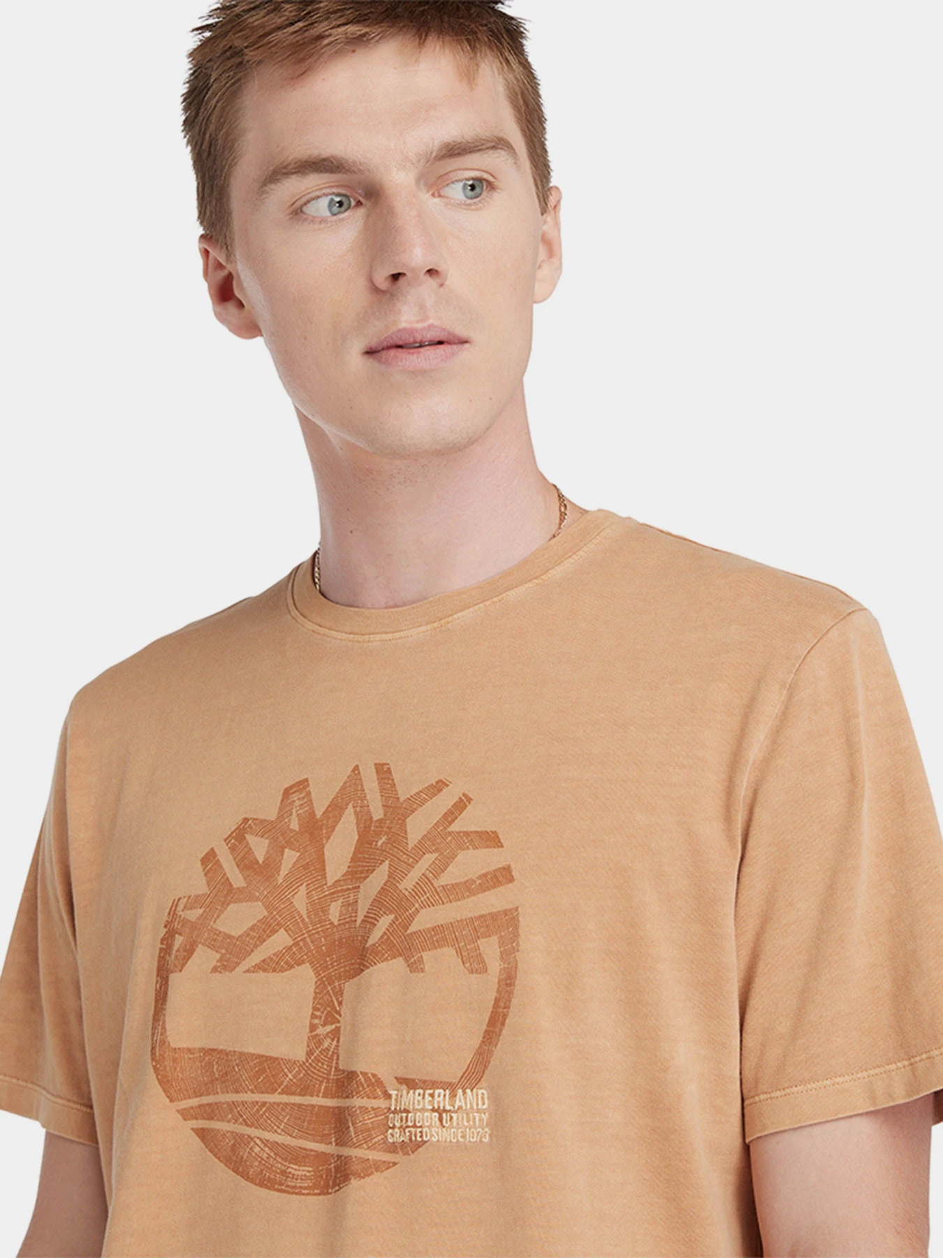Футболки и поло Timberland Garment Dye Logo модель TB0A5UEKP47 Фото