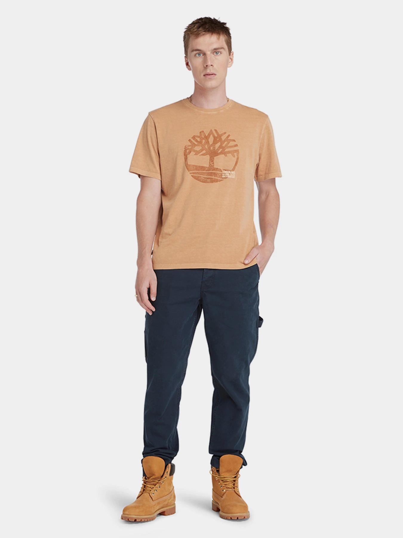 Футболки и поло Timberland Garment Dye Logo модель TB0A5UEKP47 Фото