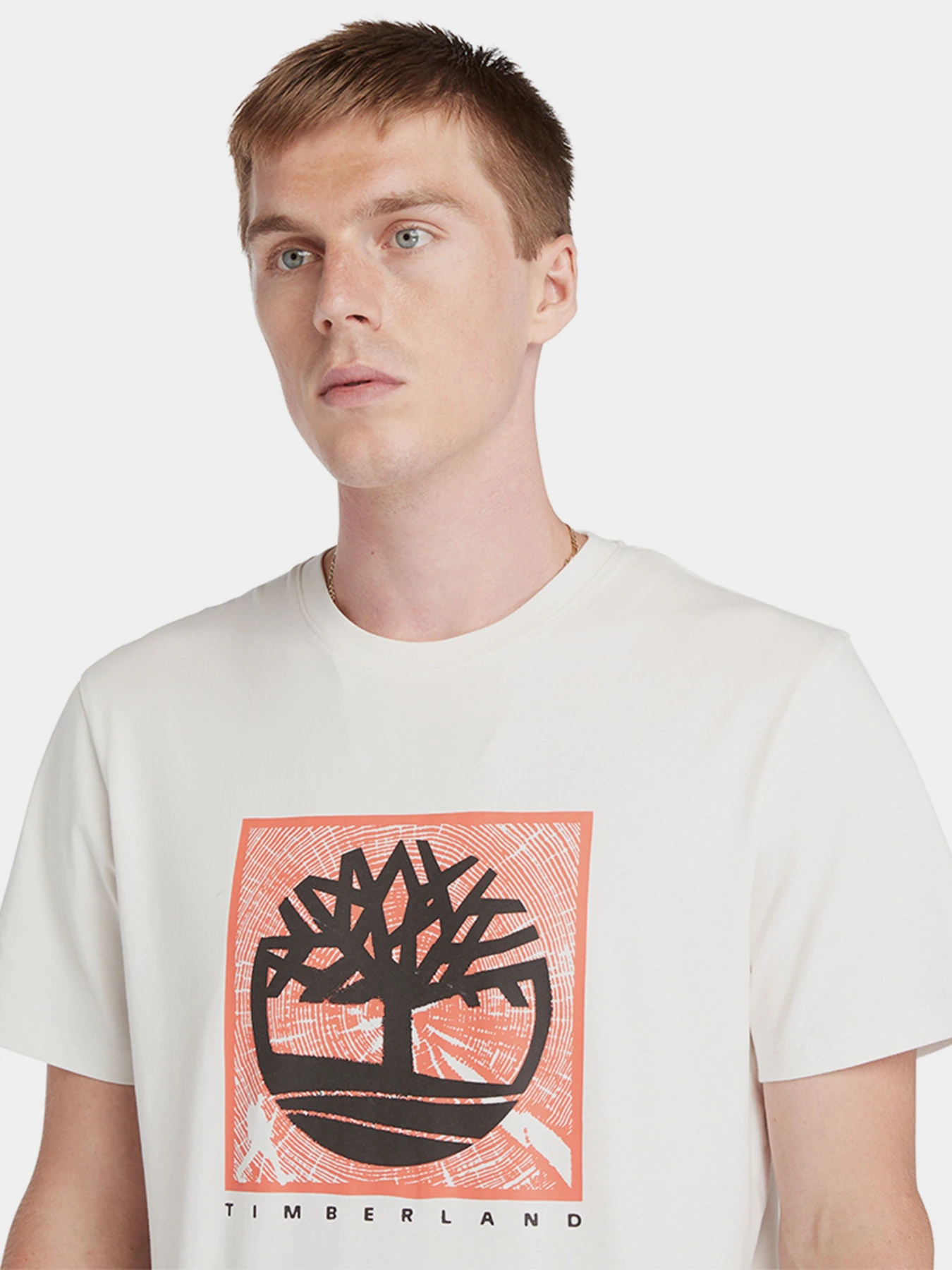 Футболки і поло Timberland Front Graphic модель TB0A5UDBCM9 Футболки і поло Timberland Front Graphic модель TB0A5UDBCM9 Фото
