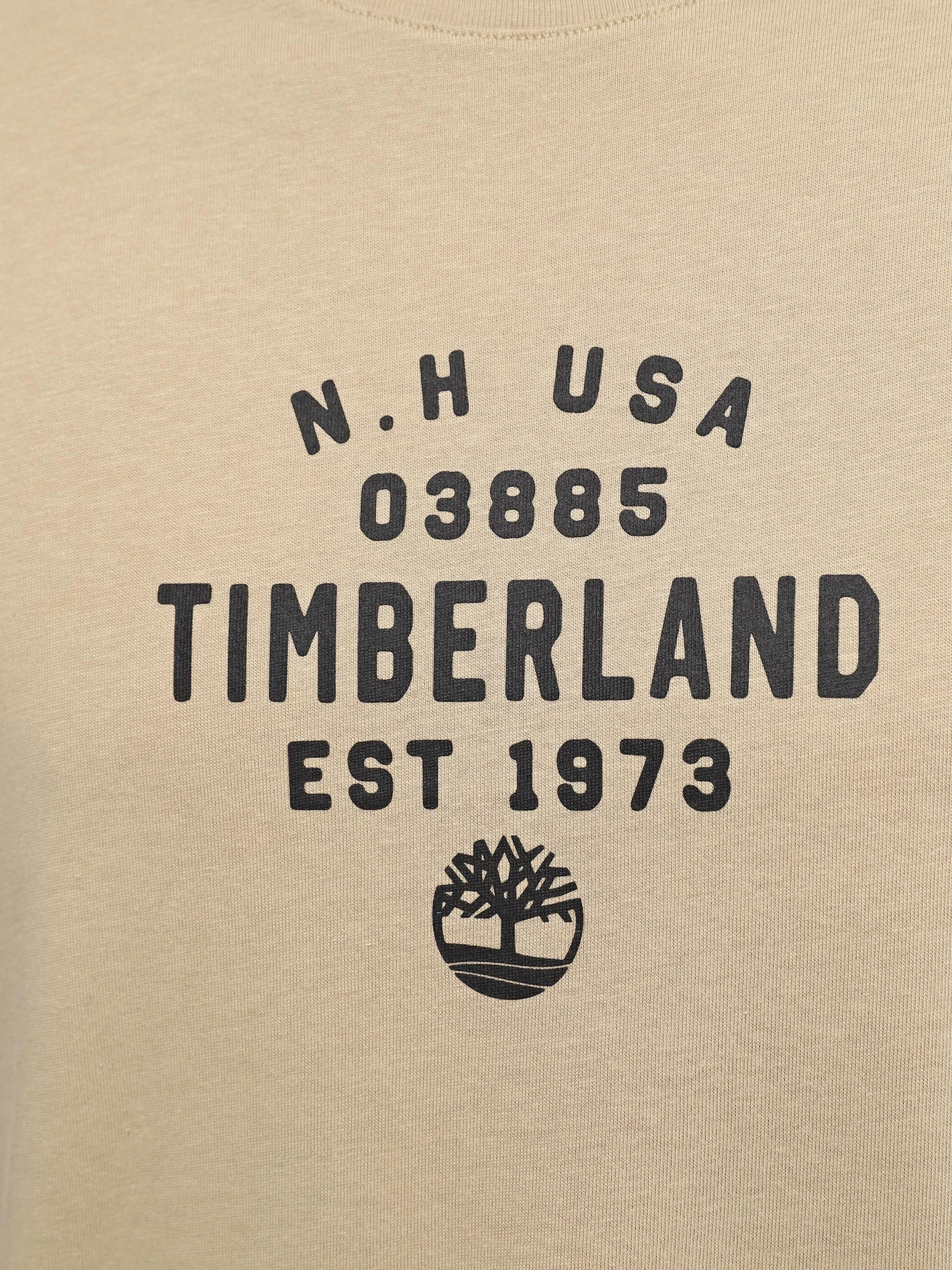 Футболки и поло Timberland Graphic модель TB0A5UF7DH4 Фото