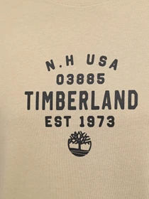 Футболки и поло Timberland Graphic модель TB0A5UF7DH4 Фото