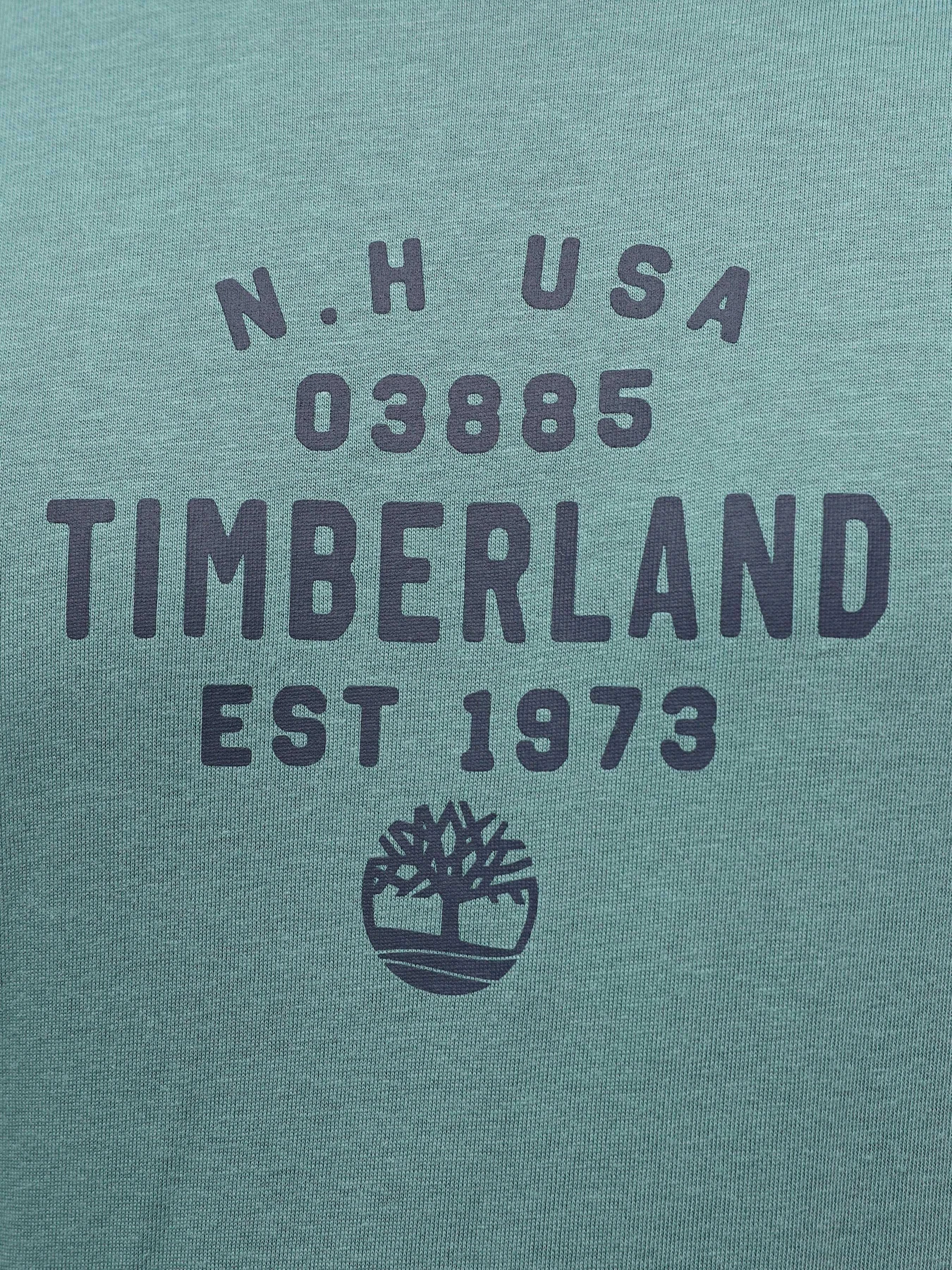 Футболки і поло Timberland Graphic модель TB0A5UF7CL6 Футболки і поло Timberland Graphic модель TB0A5UF7CL6 Фото