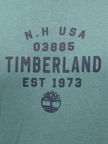 Футболки і поло Timberland Graphic модель TB0A5UF7CL6 Фото