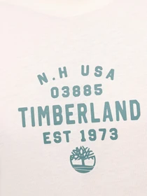Футболки и поло Timberland Graphic модель TB0A5UF7CM9 Фото