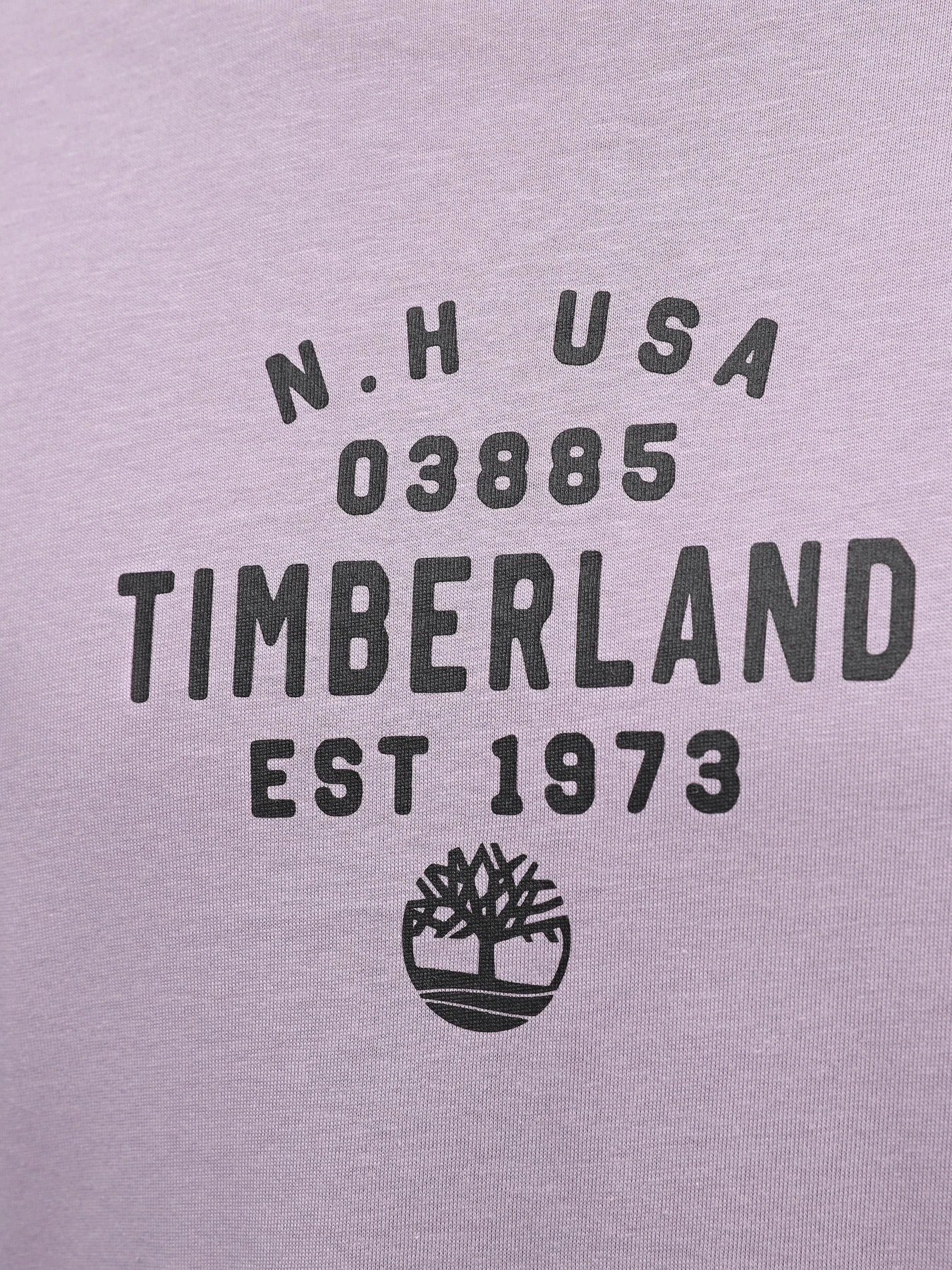 Футболки і поло Timberland Graphic модель TB0A5UF7EG7 Футболки і поло Timberland Graphic модель TB0A5UF7EG7 Фото