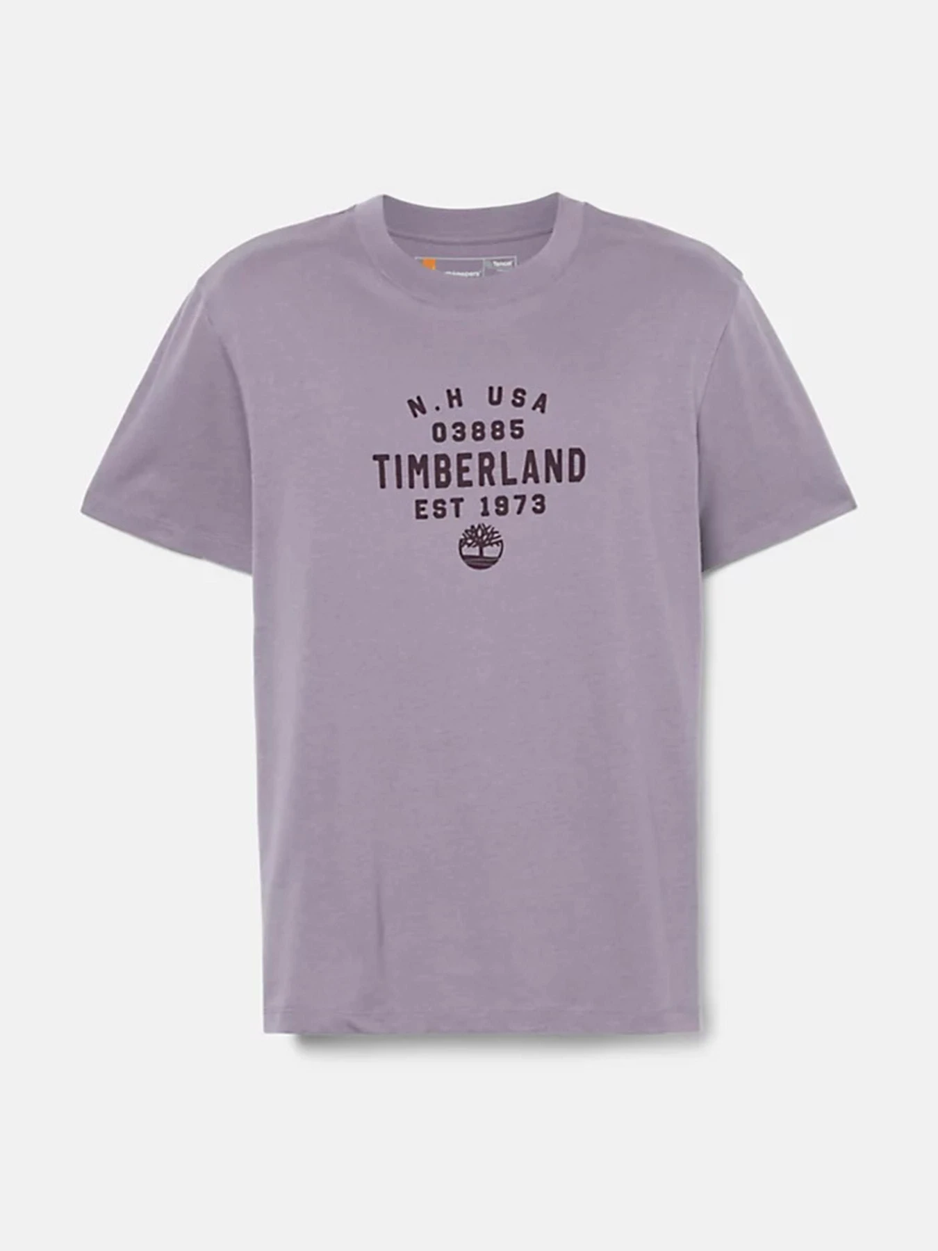 Футболки і поло Timberland Graphic модель TB0A5UF7EG7 Футболки і поло Timberland Graphic модель TB0A5UF7EG7 Фото