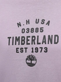 Футболки і поло Timberland Graphic модель TB0A5UF7EG7 Фото