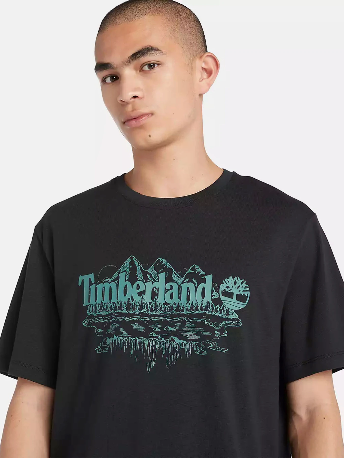 Футболки и поло Timberland Mountain Logo модель TB0A5UFU001 Футболки и поло Timberland Mountain Logo модель TB0A5UFU001 Фото