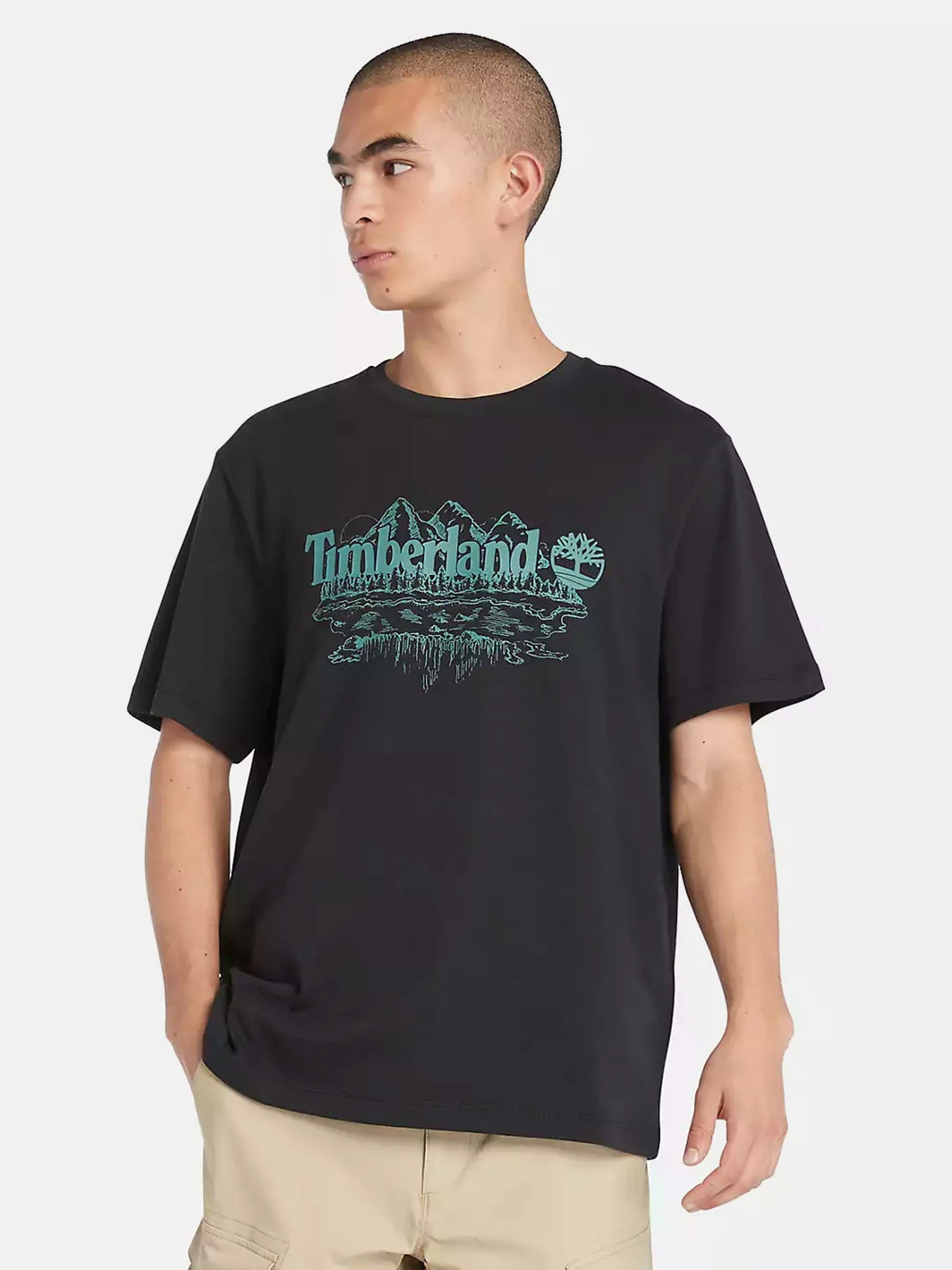 Футболки и поло Timberland Mountain Logo модель TB0A5UFU001 Футболки и поло Timberland Mountain Logo модель TB0A5UFU001 Фото