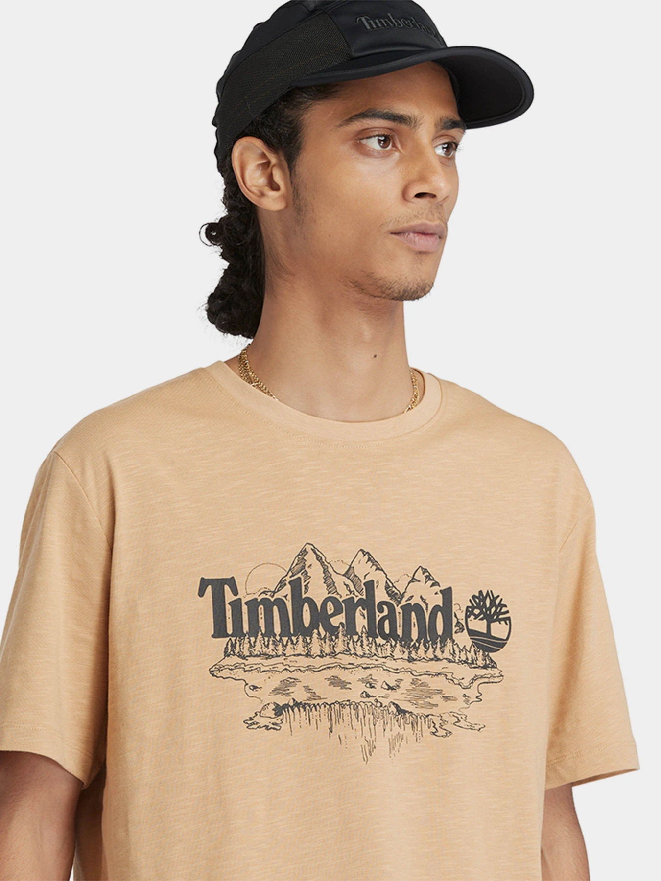 Футболки и поло Timberland Mountain Logo модель TB0A5UFUEH3 Футболки и поло Timberland Mountain Logo модель TB0A5UFUEH3 Фото