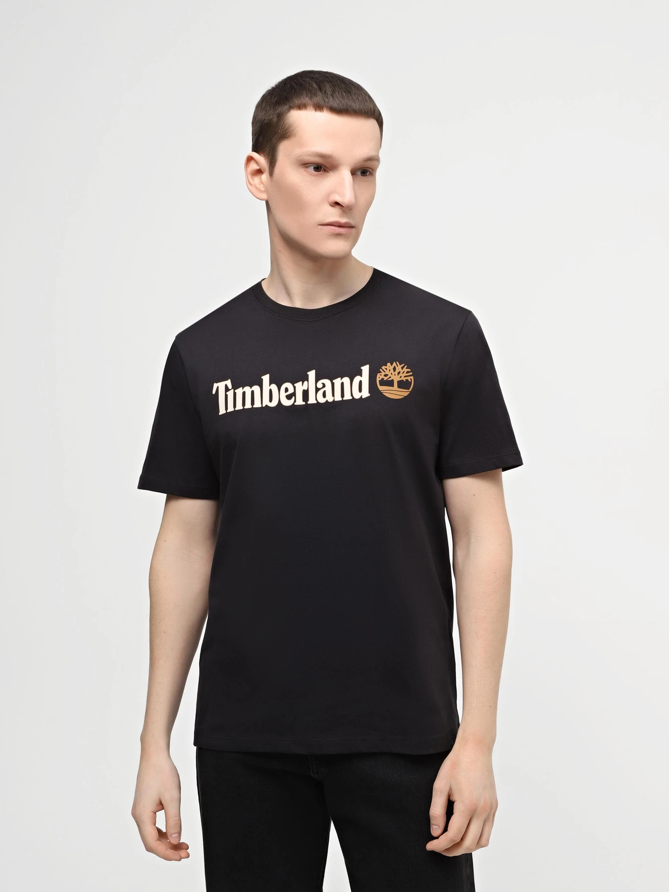 Футболки і поло Timberland Linear Logo модель TB0A5UPQ001 Футболки і поло Timberland Linear Logo модель TB0A5UPQ001 Фото